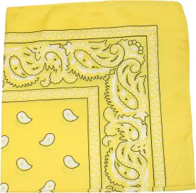 3 Pack Mechaly Dog Bandana Neck Scarf Paisley Polyester Bandanas - Any Pets