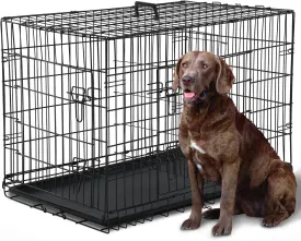 42 Inch Dog Crate Large Double-Door Dog Kennel with Plastic Tray & Divider, Indoor Outdoor Folding XL Dog Cage Pet House