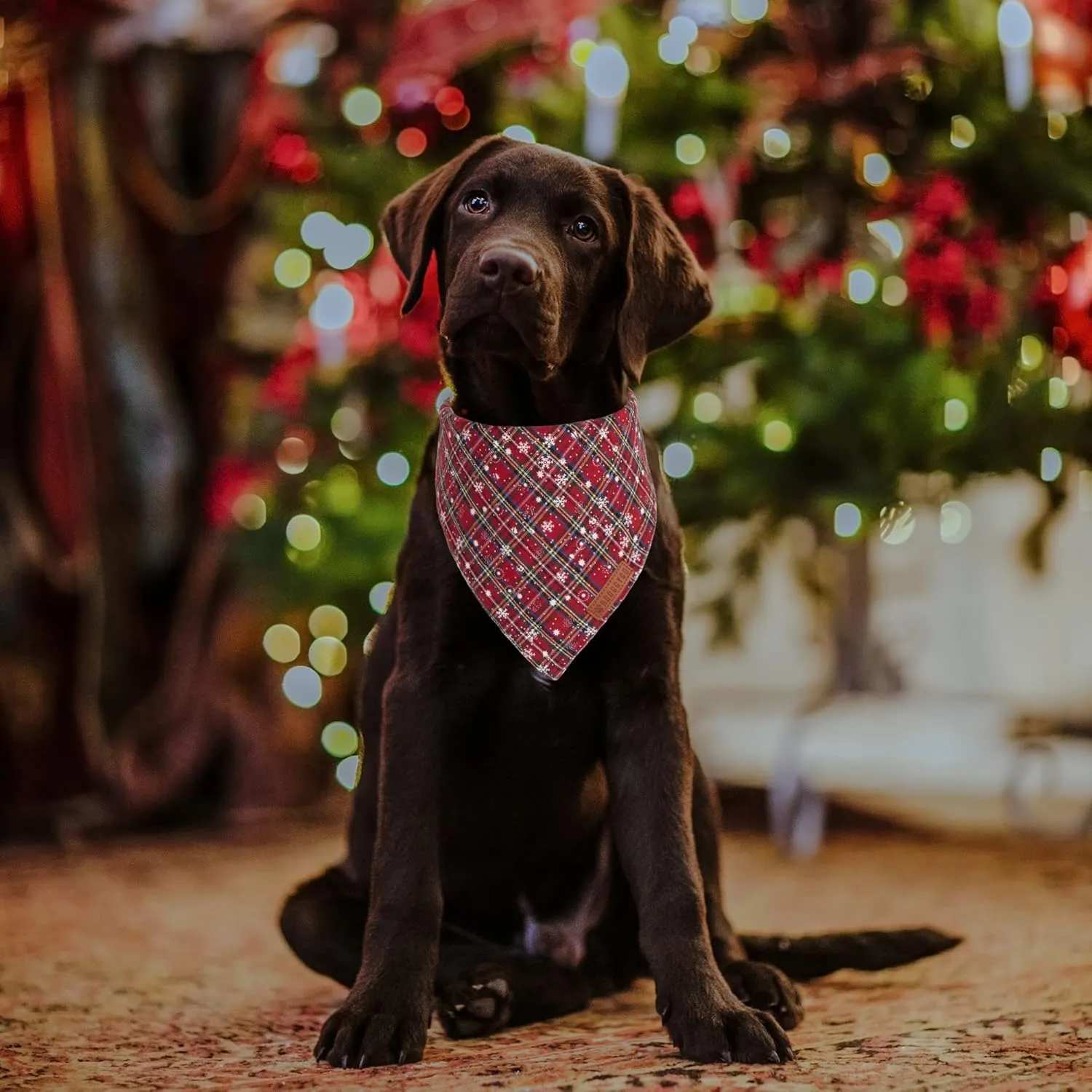 ADOGGYGO 2 Pack Dog Bandanas Christmas, Stylish Plaid Snowflake Pet Scarf, Premium Durable Fabric, Multiple Sizes Offered, Christmas Bandanas for Medium Large Dogs Pets (Large)