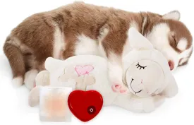 ALL FOR PAWS ,,,,(( ))