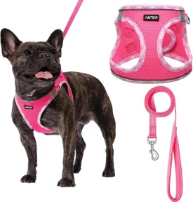 AMTOR Small Dog Harness with Leash Set, No Escape Easy Walk Puppy Harnesses for Training Walking, Step-in Reflective Soft Dogs Vest for XS S Medium Extra-Small Large Sized Dog(Fuchsia,S)