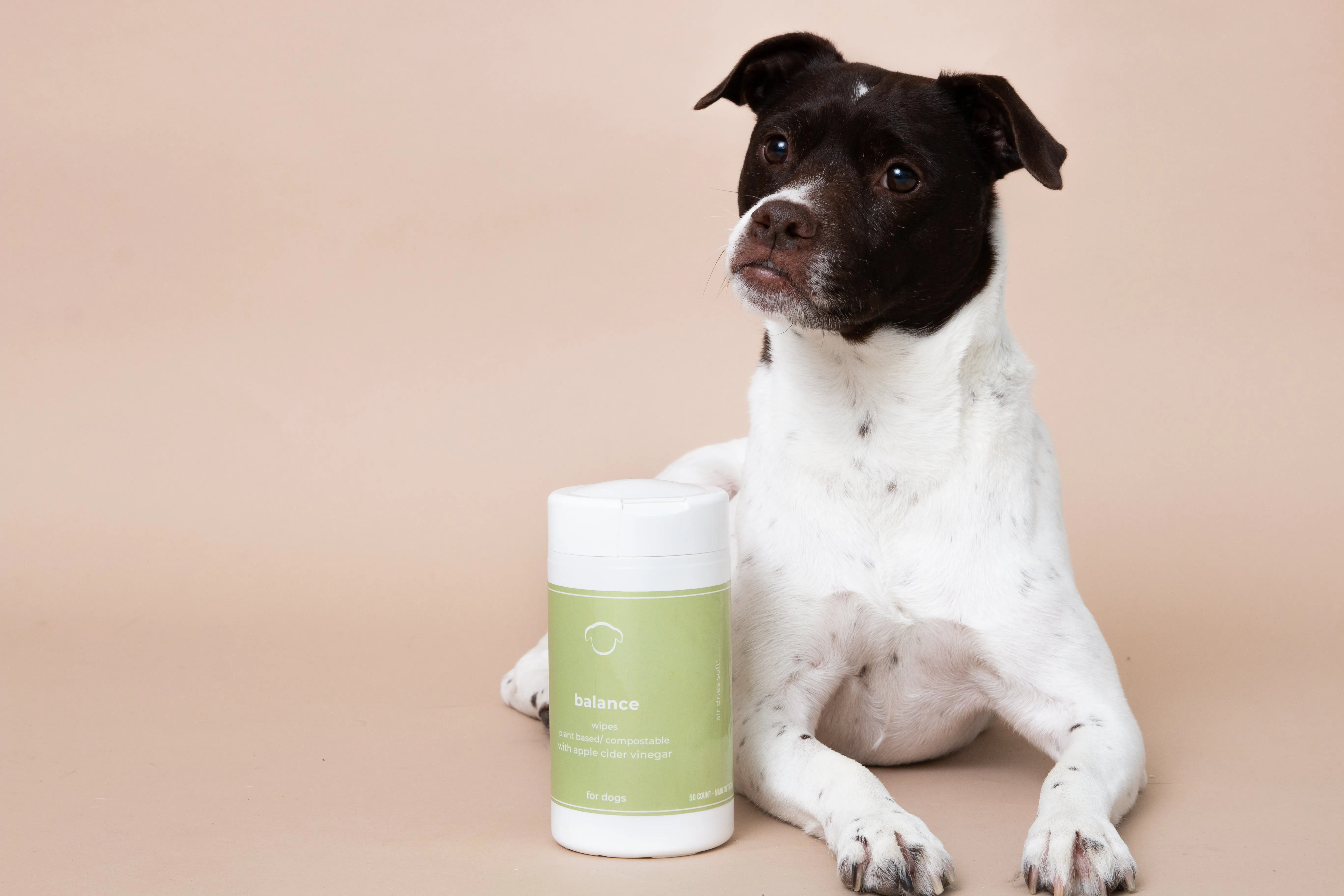 Balance Plant Based & Compostable Apple Cider Vinegar Dog Wipes - TEMPORARILY OUT OF STOCK