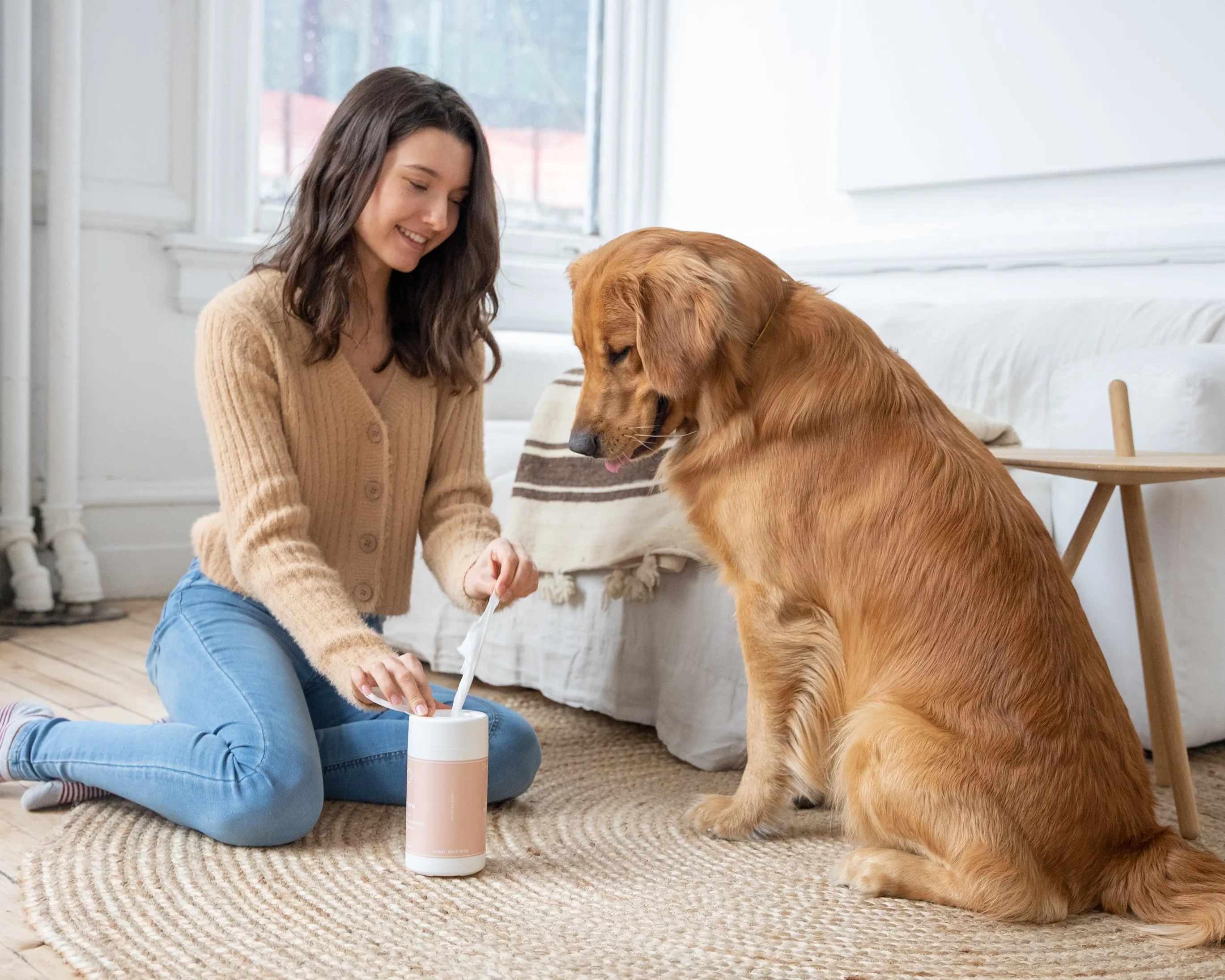 Balance Plant Based & Compostable Apple Cider Vinegar Dog Wipes - TEMPORARILY OUT OF STOCK