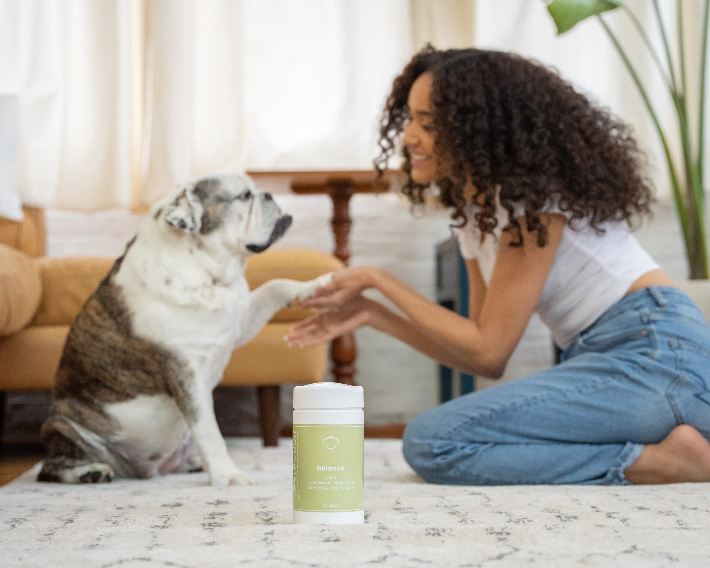 Balance Plant Based & Compostable Apple Cider Vinegar Dog Wipes - TEMPORARILY OUT OF STOCK