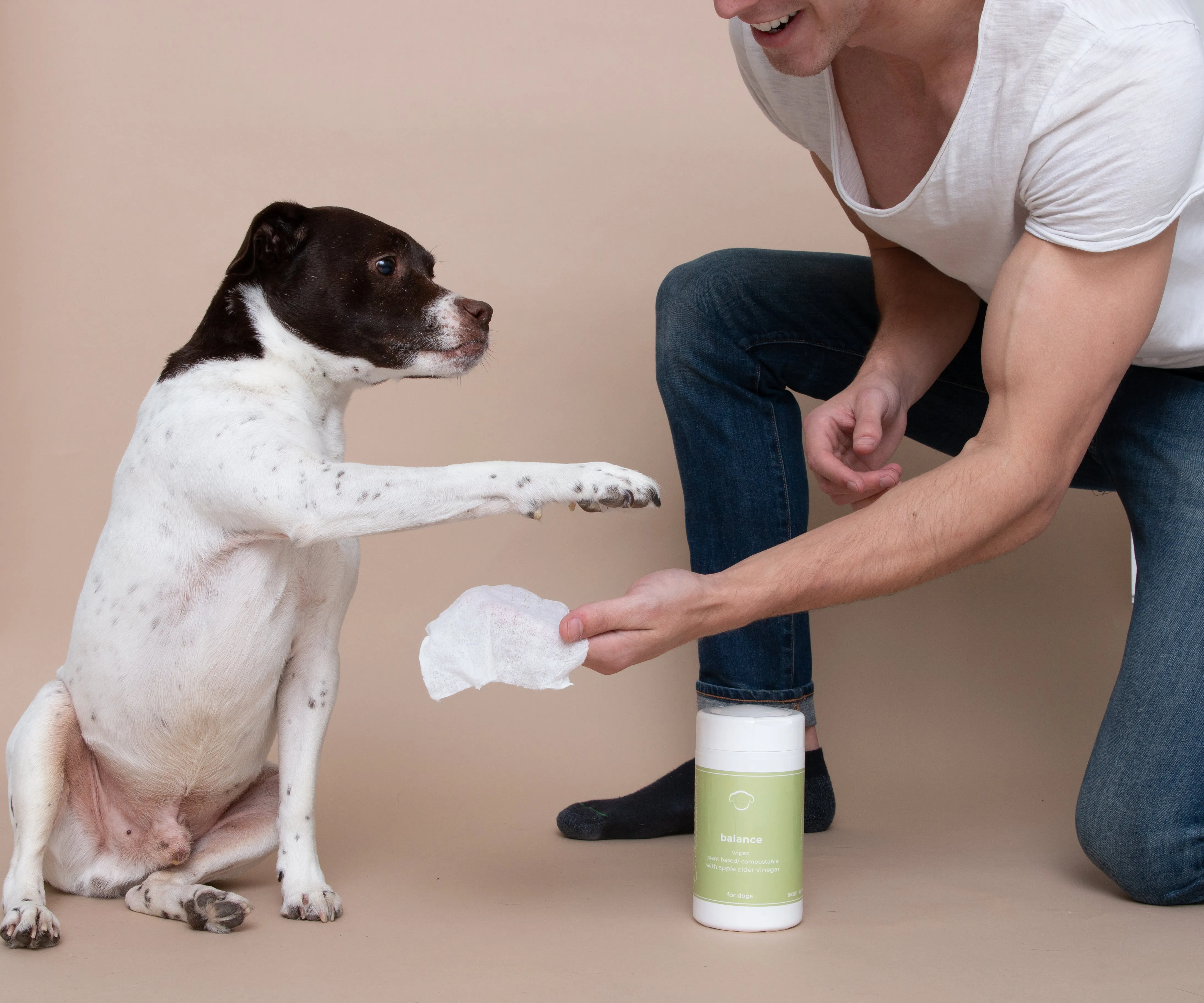 Balance Plant Based/Compostable Wipes Apple Cider Vinegar Blend For Dogs