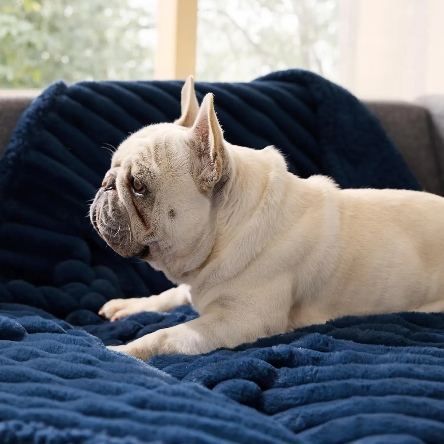 Bedsure Waterproof Dog Blankets for Medium Dogs - Soft Puppy Cat Blanket Corduroy Fleece Washable, Cozy Calming Reversible Furniture Protection for Pet Kitten Doggy,30"x40", Navy Blue