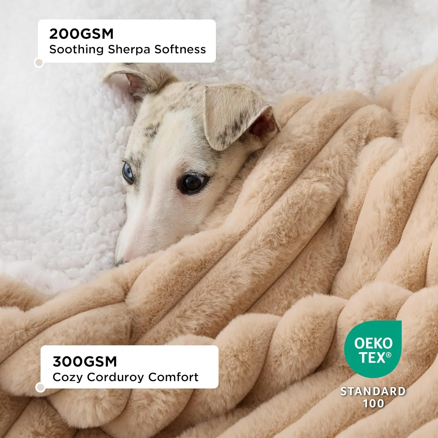 Bedsure Waterproof Dog Blankets for Small Dogs - Soft Puppy Cat Blanket Corduroy Fleece Washable, Cozy Calming Reversible Furniture Protection for Pet Kitten Doggy,25"x35", Tuscan Beige