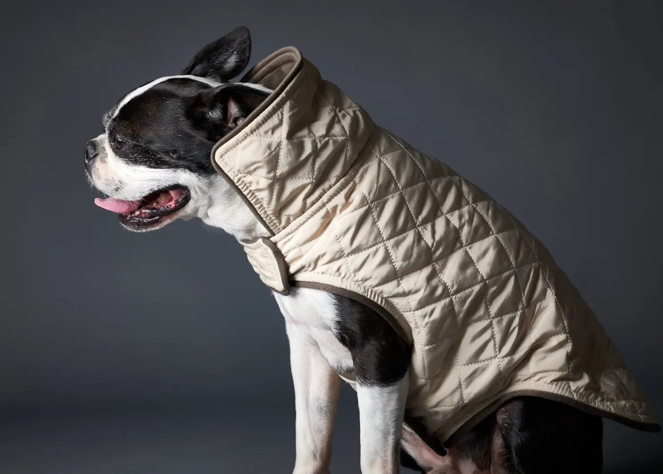 Creme Reversible Waterproof Jacket SUNSET