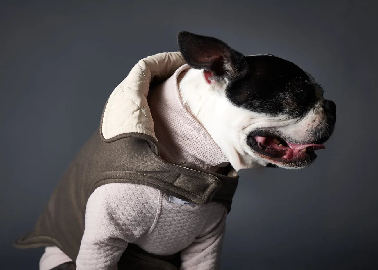Creme Reversible Waterproof Jacket SUNSET