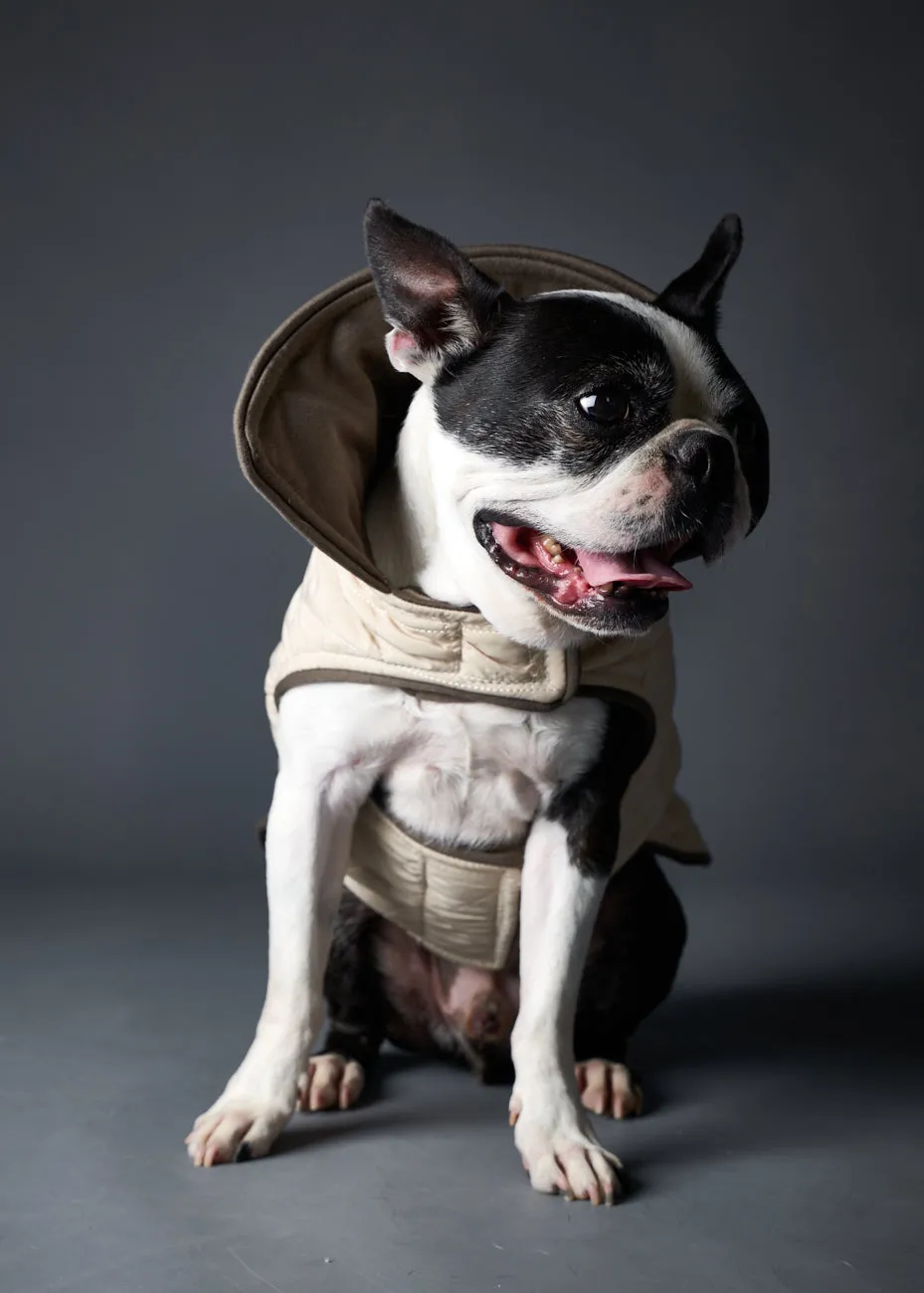 Creme Reversible Waterproof Jacket SUNSET