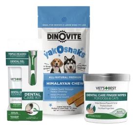 Dental Care Bundle