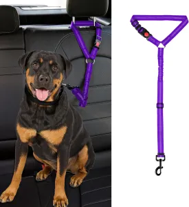 Dog Cat (,-1 )