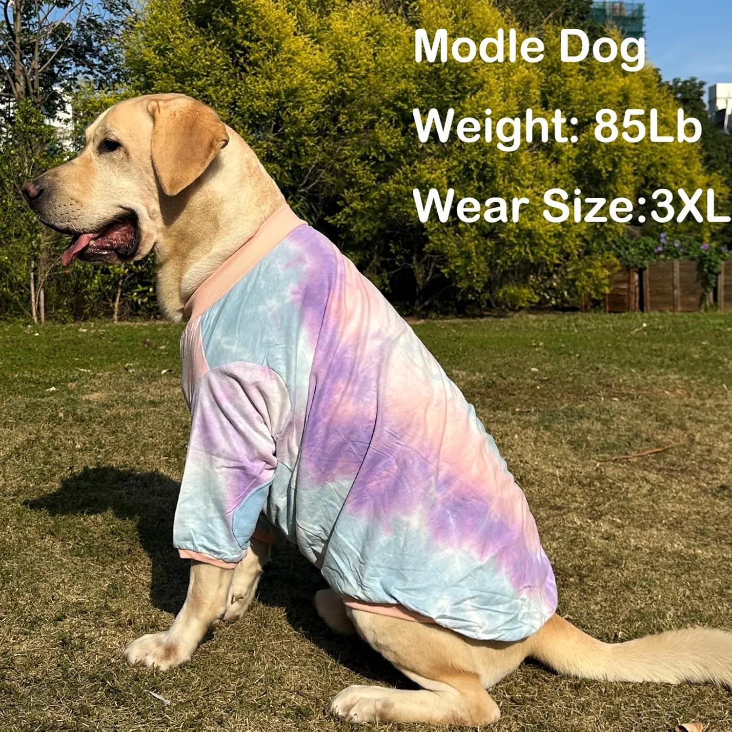 Dog Cotton Colorful Tie Dye T-Shirts Soft and Stretchy Breathable Pet Shirt Pajamas Pets Clothes for Large Dogs Tiedye 2XL