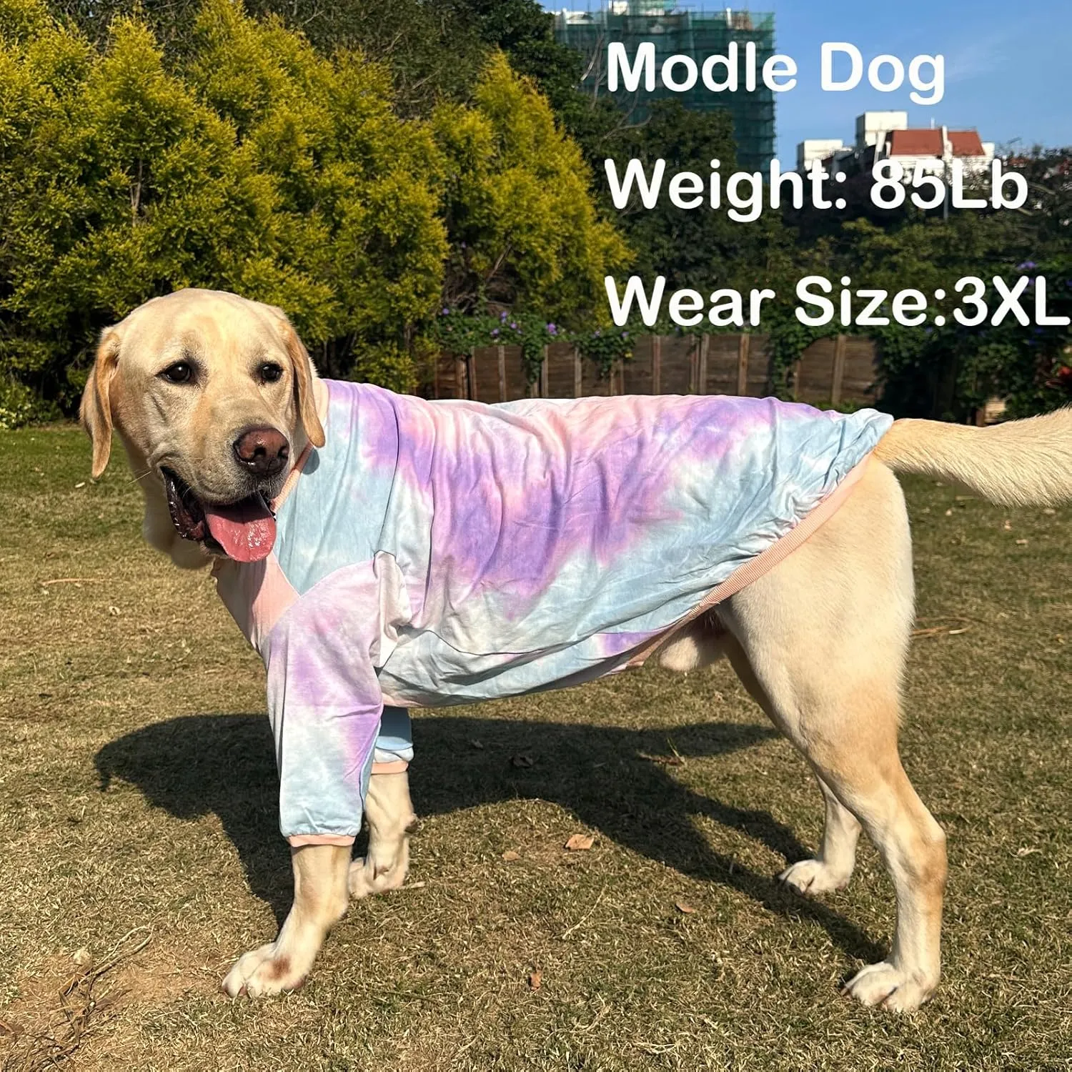 Dog Cotton Colorful Tie Dye T-Shirts Soft and Stretchy Breathable Pet Shirt Pajamas Pets Clothes for Large Dogs Tiedye 2XL