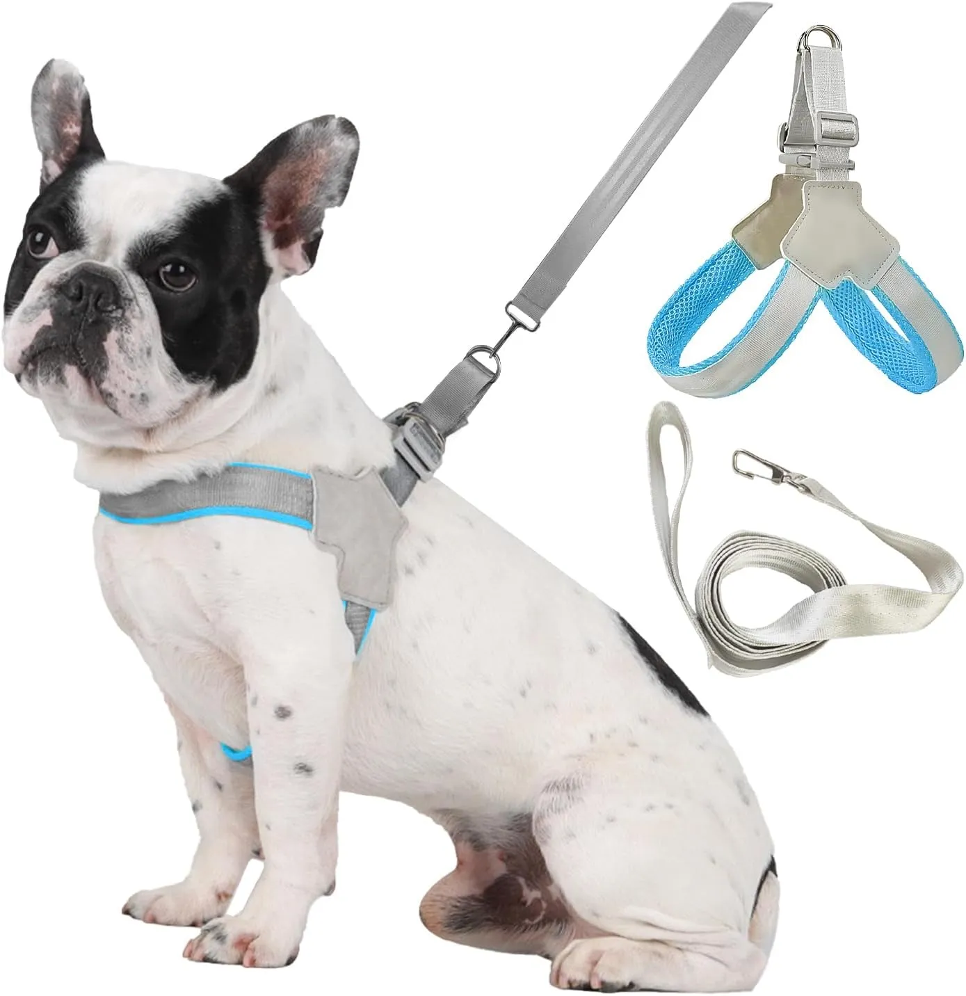 Dog Harness and Leash Set: Soft No Pull Dog Harness for Small Dogs/Medium Dog Harness/Cats, Adjustable Puppy Harness and Leash Set Training Dog Vest Harness for Walking Running (Blue, Large)