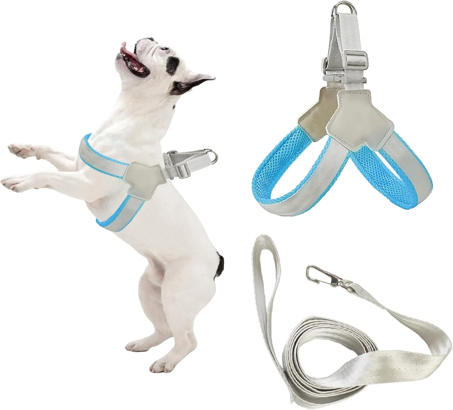 Dog Harness and Leash Set: Soft No Pull Dog Harness for Small Dogs/Medium Dog Harness/Cats, Adjustable Puppy Harness and Leash Set Training Dog Vest Harness for Walking Running (Blue, Large)