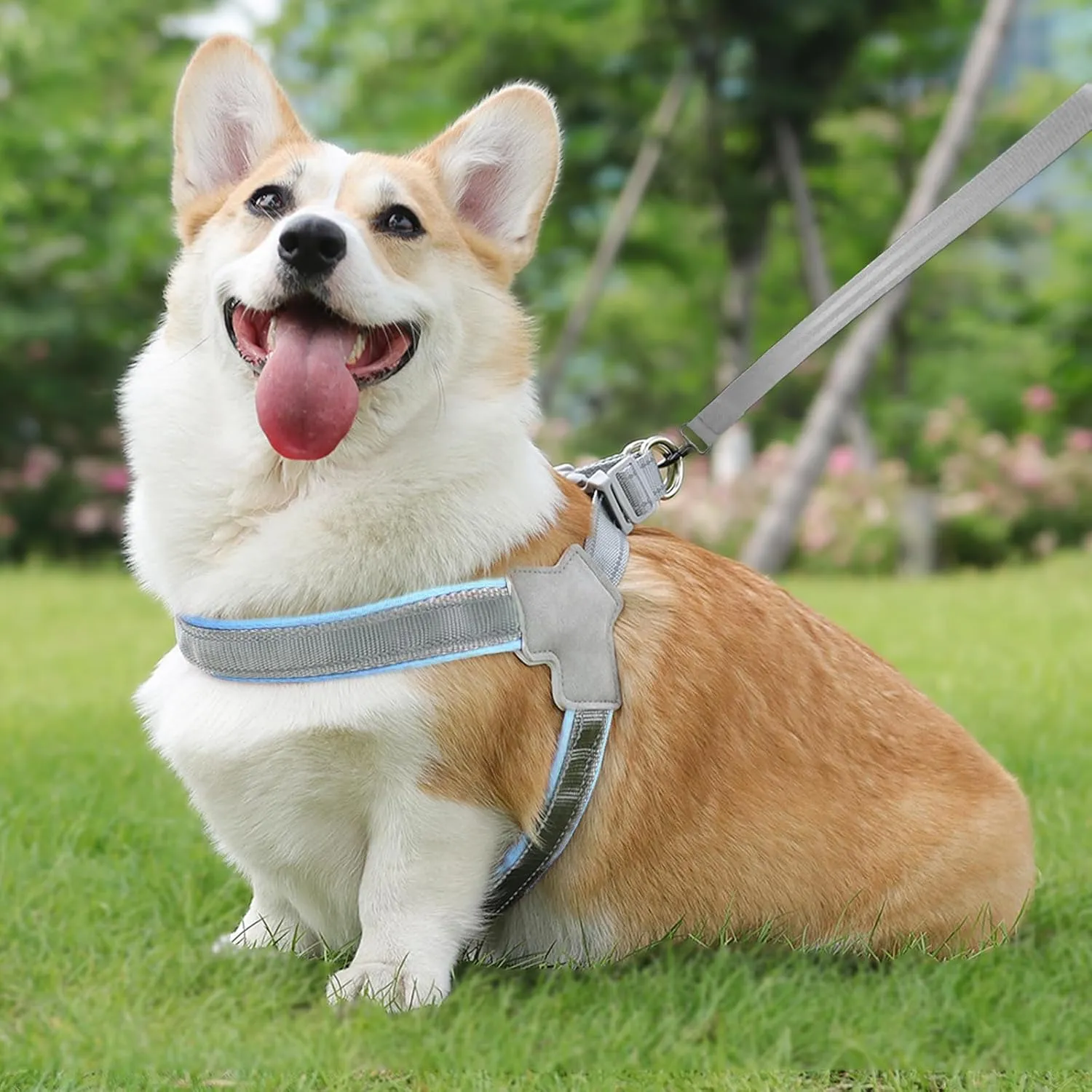 Dog Harness and Leash Set: Soft No Pull Dog Harness for Small Dogs/Medium Dog Harness/Cats, Adjustable Puppy Harness and Leash Set Training Dog Vest Harness for Walking Running (Blue, Large)