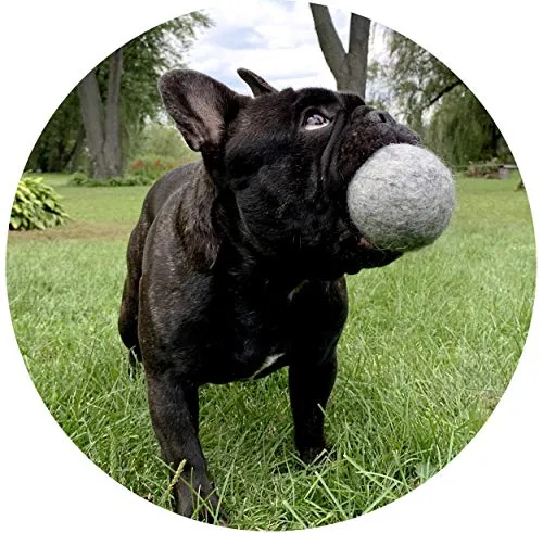 Eco-Friendly 100% All Natural Wool (Set of 2) Dog Toy Balls - Handmade