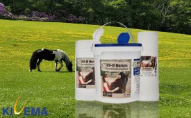 Equine Gentle Touch: Kivema'S Wipes for Horse Eyes, Ears, and Sensitive Areas