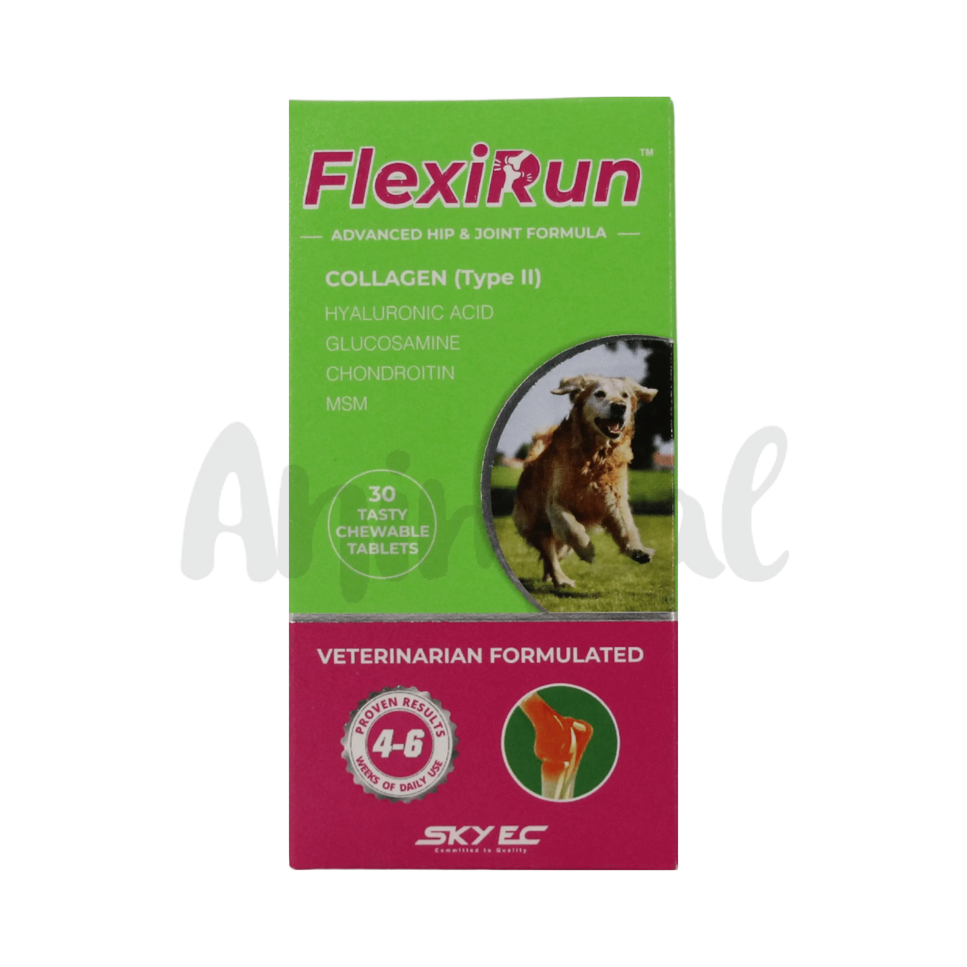 FLEXIRUN TABLET