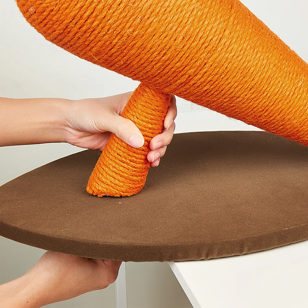 FOFOS Carrot Cat Scratcher