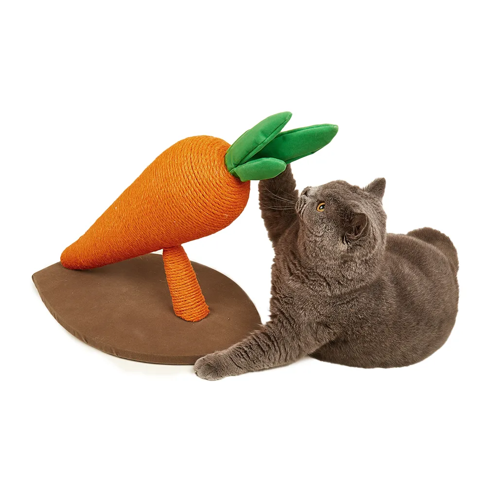 FOFOS Carrot Cat Scratcher