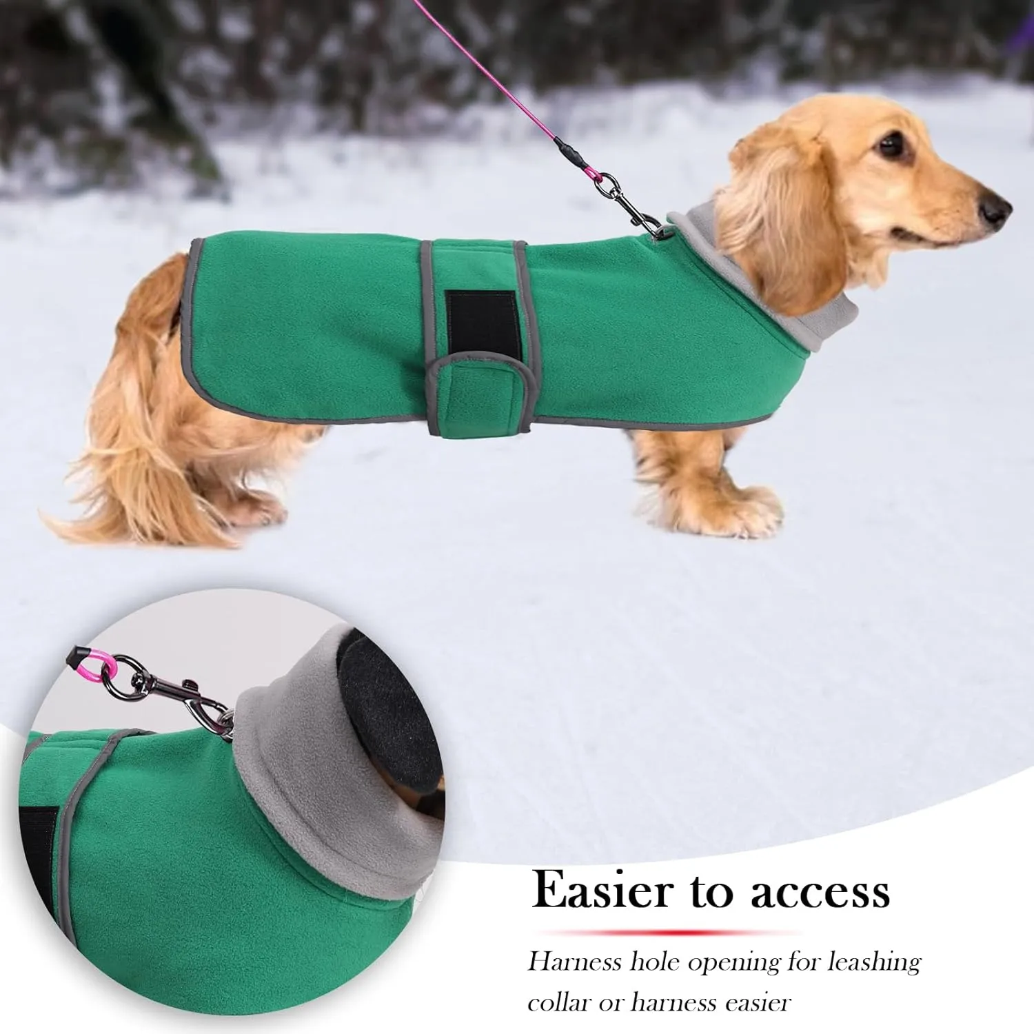 Geyecete Dachshund Sweaters for Dogs Jacket, Dachshund Coat Winter Coat with Padded Fleece Lining and High Collar, Dog Snowsuit with Adjustable Bands Sizes-Green-L