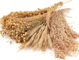 Hamster Organic Sprays Set = Wheat   Flax   Yellow Millet   Panicle Millet, Pet Habitat Bedding Decor, Natural Hamster Chews Accessories Supplies, for Gerbil, Mice, Guinea Pig (4 Kinds of Grains)