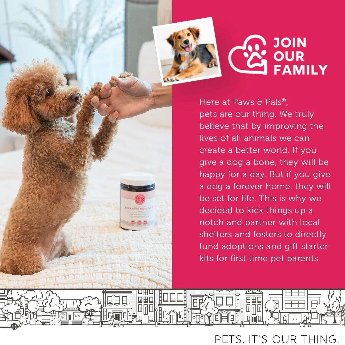 Hip and Joint Advanced Level 2 Formula All Natural Glucosamine Supplement for Dogs and Cat