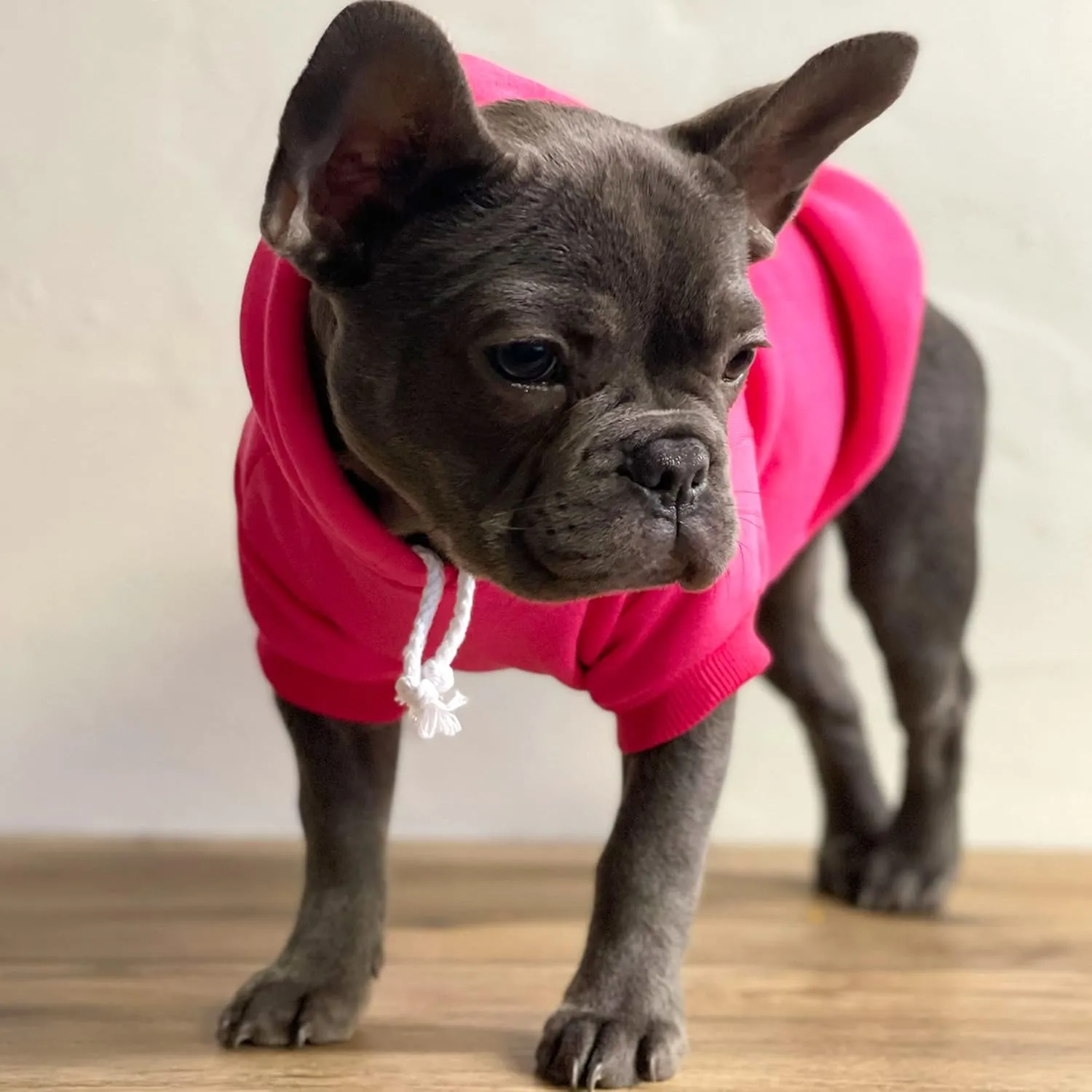 I Do Too Dog Hoodie Fleece Lined Pullover Sweatshirt with Leash Hole(Royal Blue, Large 112)