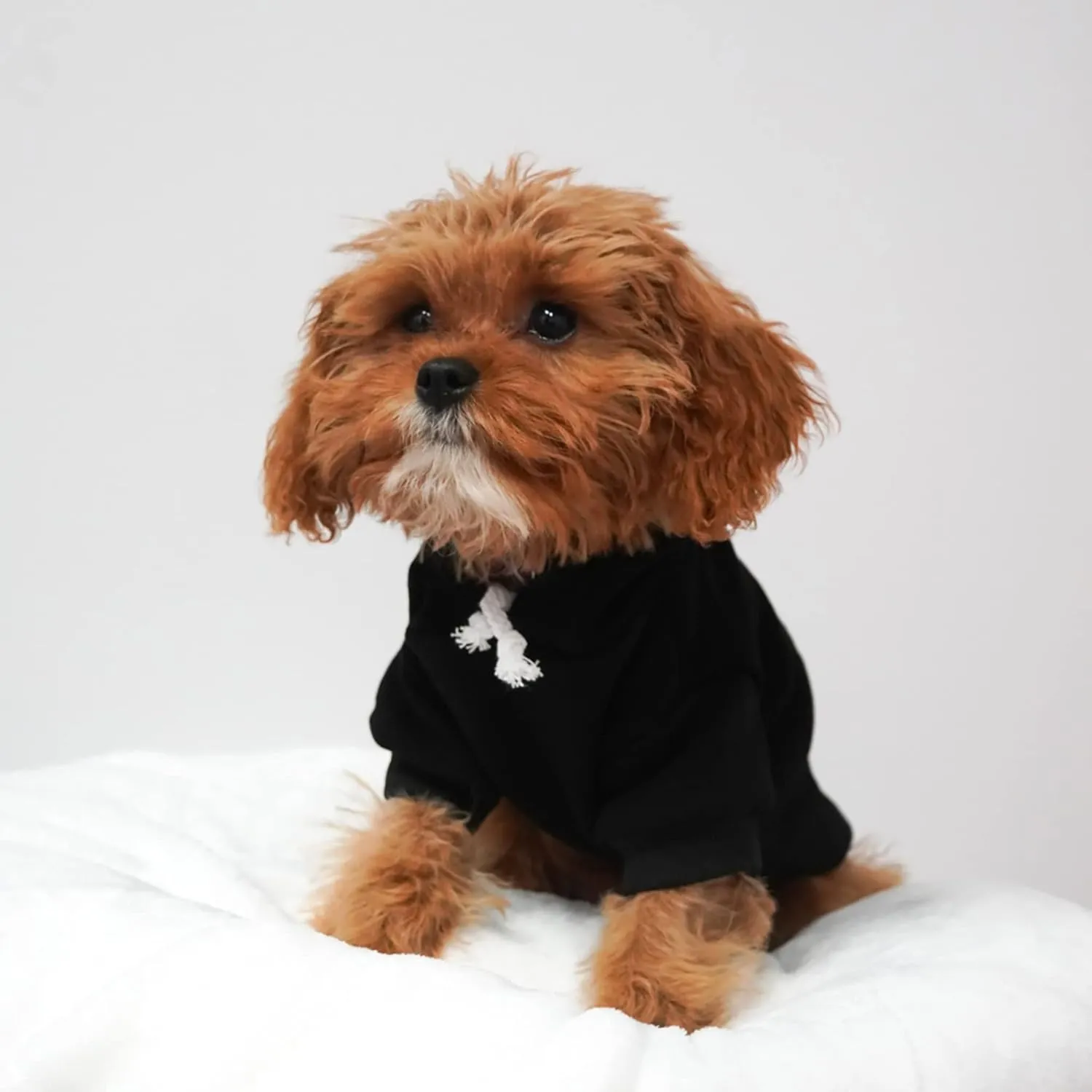 I Do Too Dog Hoodie Fleece Lined Pullover Sweatshirt with Leash Hole(Royal Blue, Large 112)