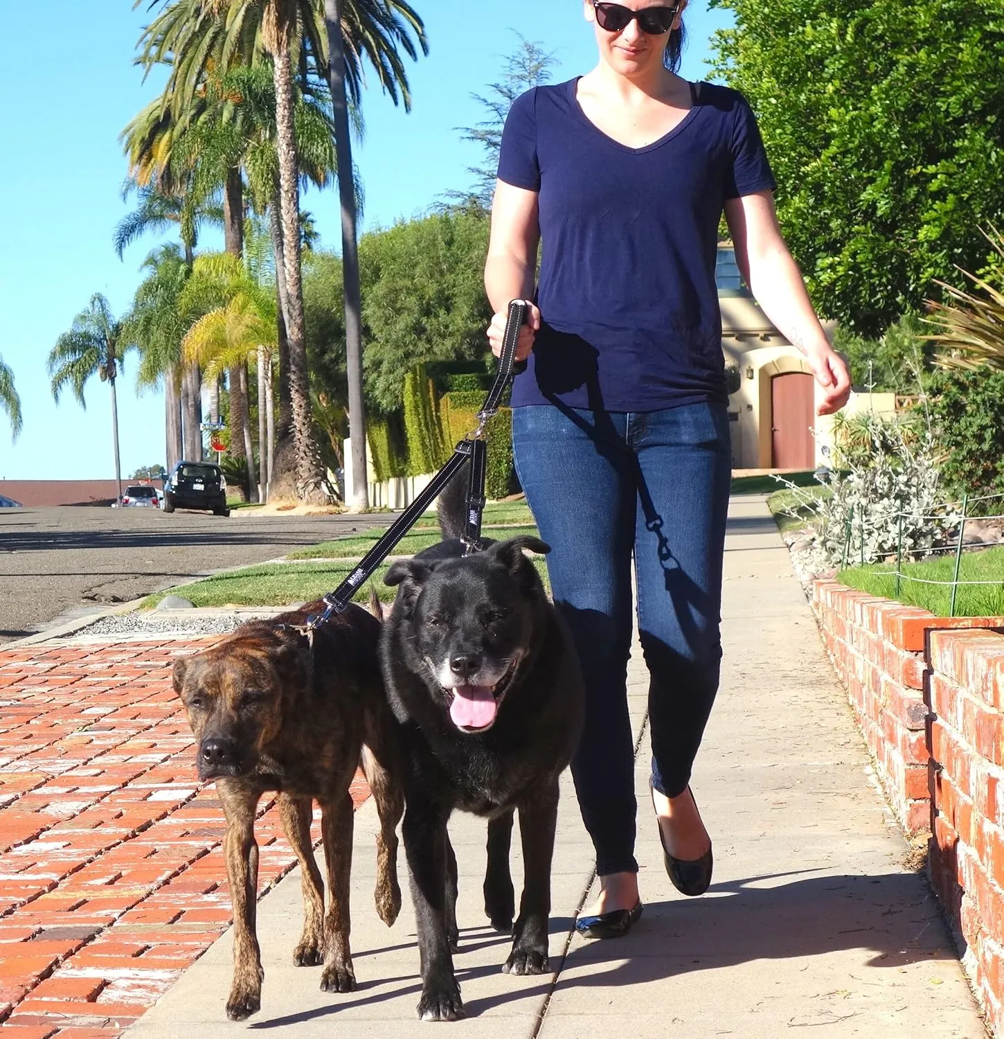 Leash Boss Duo - Adjustable Double Dog Leash for Large Dogs - Reflective No Tangle Leash for Walking Two Dogs at Once (Reflective Coupler with Handle)