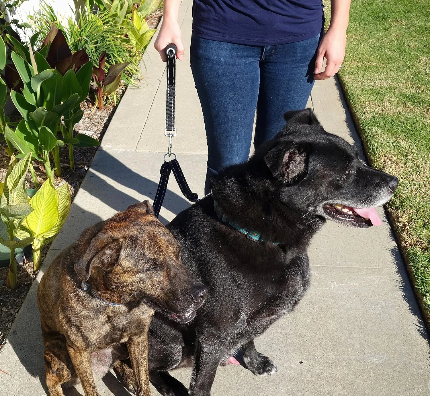Leash Boss Duo - Adjustable Double Dog Leash for Large Dogs - Reflective No Tangle Leash for Walking Two Dogs at Once (Reflective Coupler with Handle)