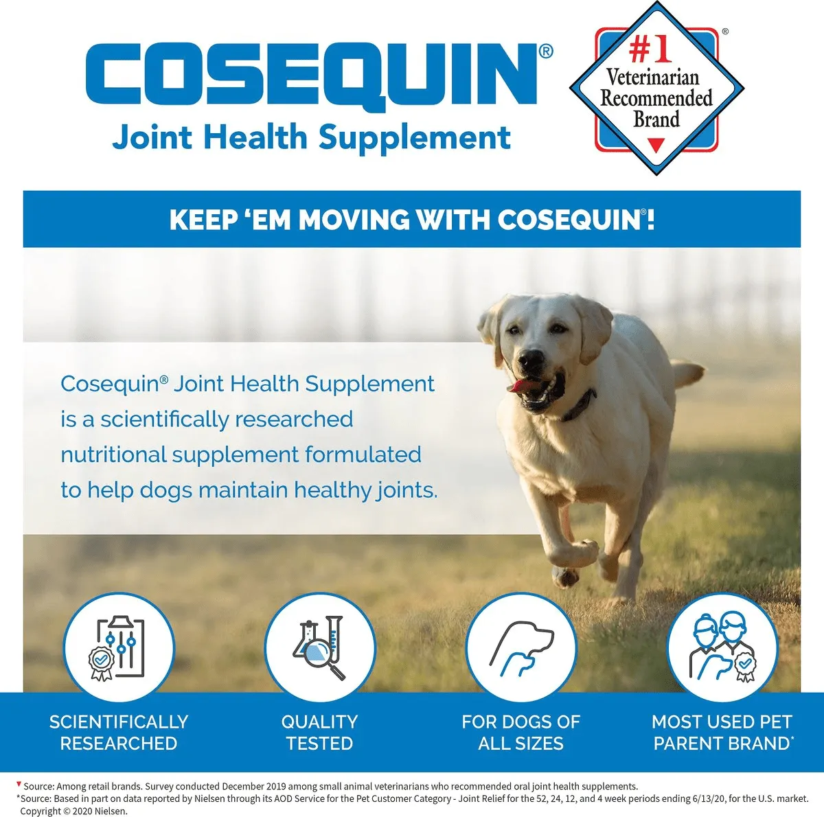 Nutramax Cosequin Maximum Strength Joint Health Supplement for Dogs - With Glucosamine, Chondroitin, MSM, and Hyaluronic Acid, 75 Chewable Tablets