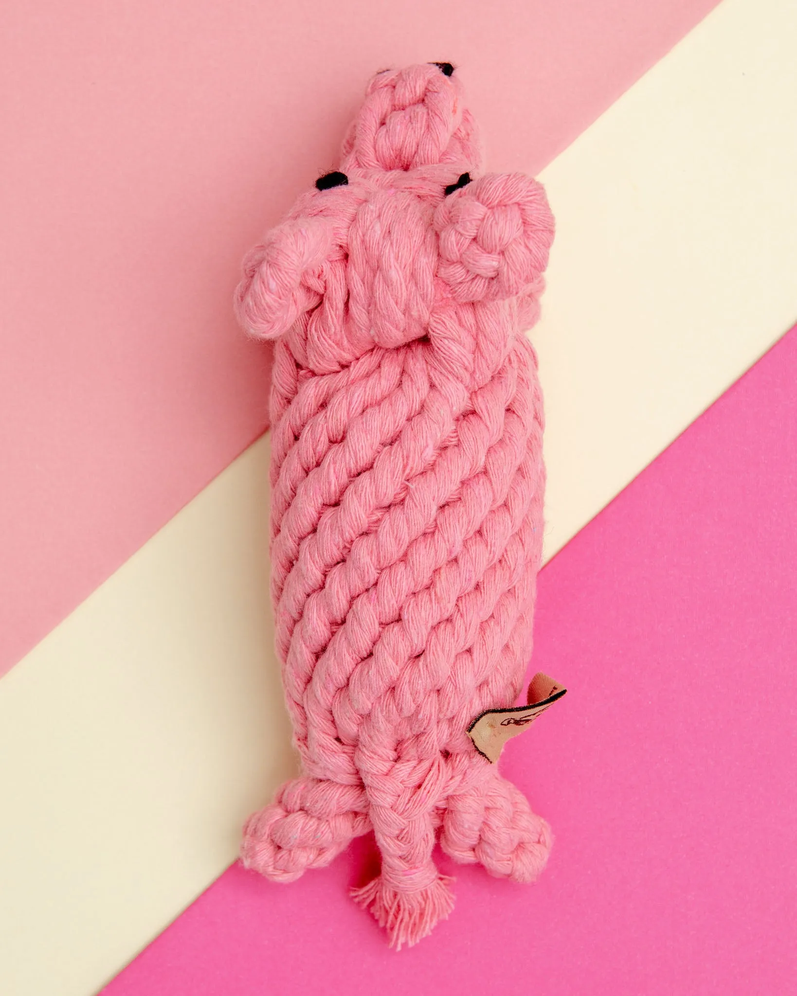 Penny the Pig Rope Dog Toy