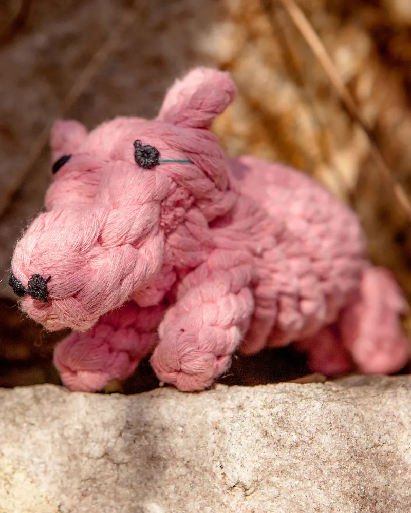 Penny the Pig Rope Dog Toy