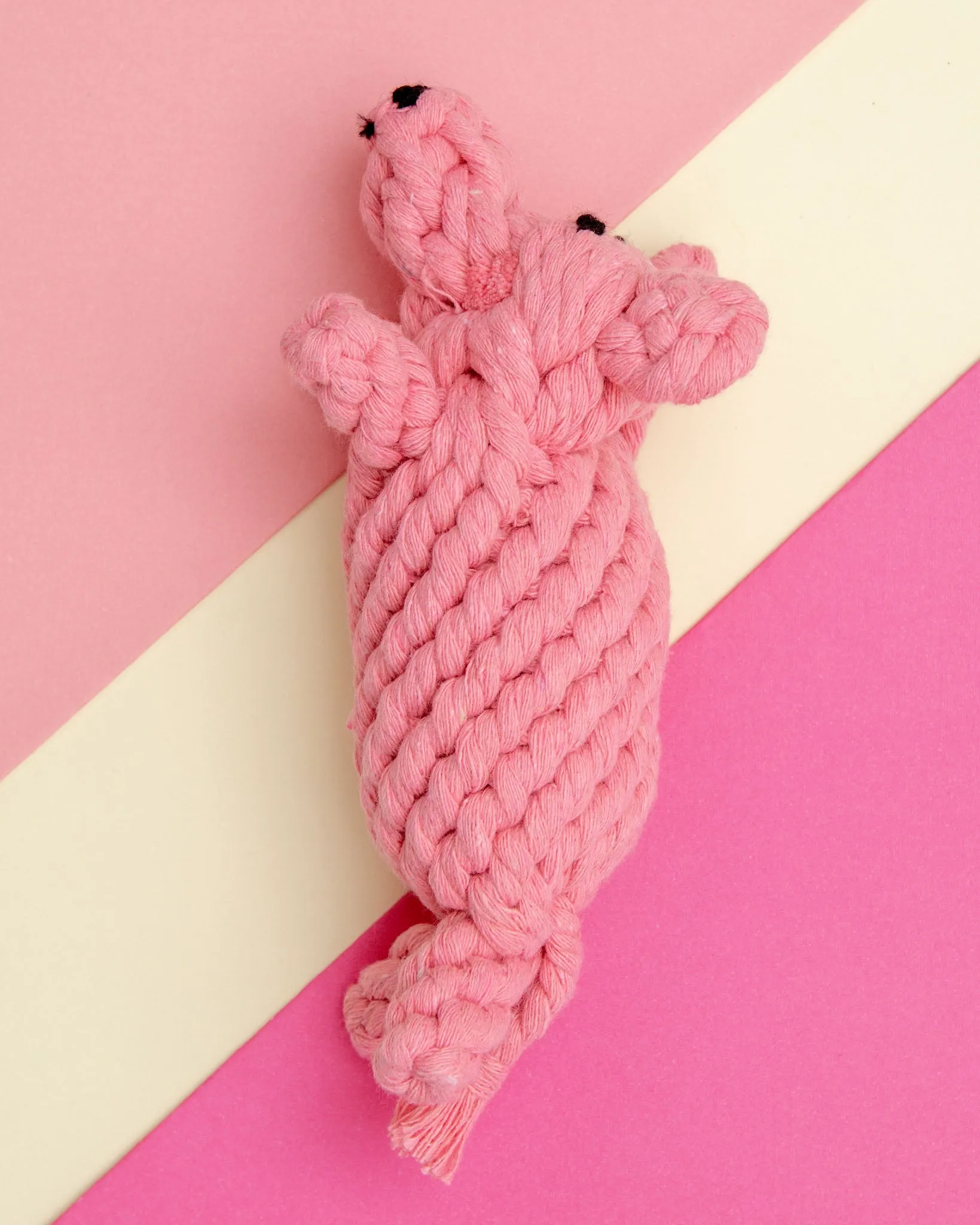 Penny the Pig Rope Dog Toy