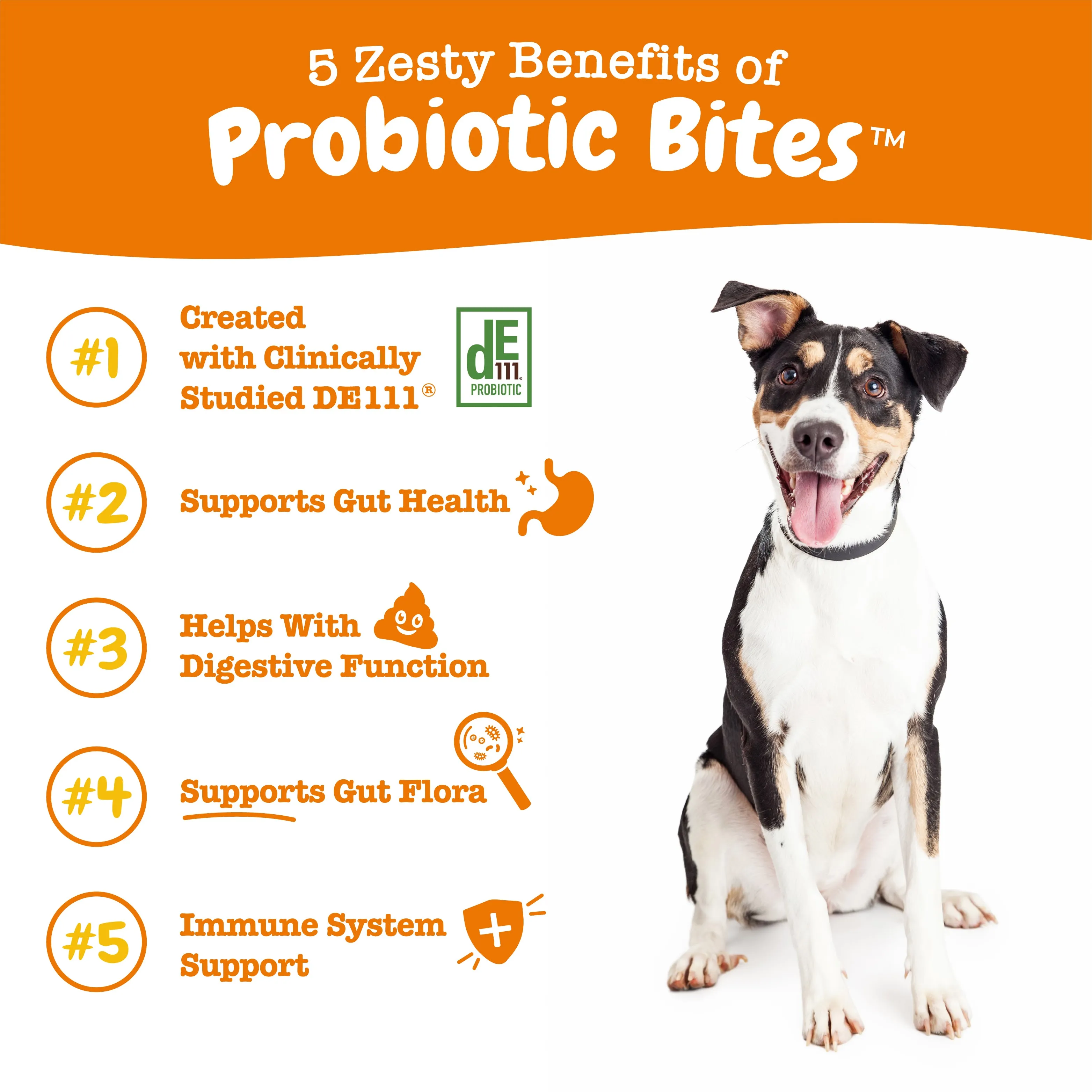 Probiotic Bites™ For Dogs
