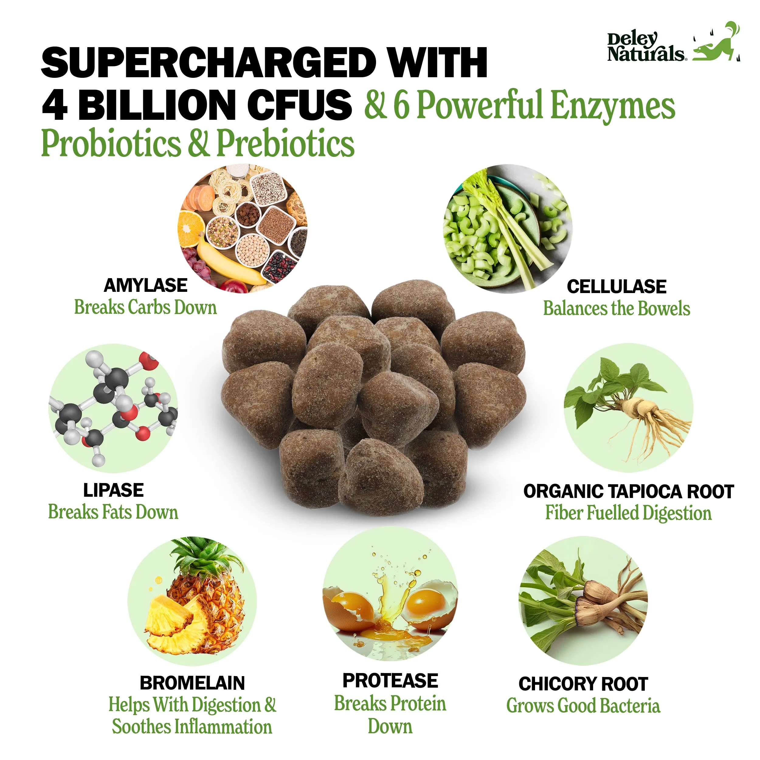 Probiotic Supplement for Dogs