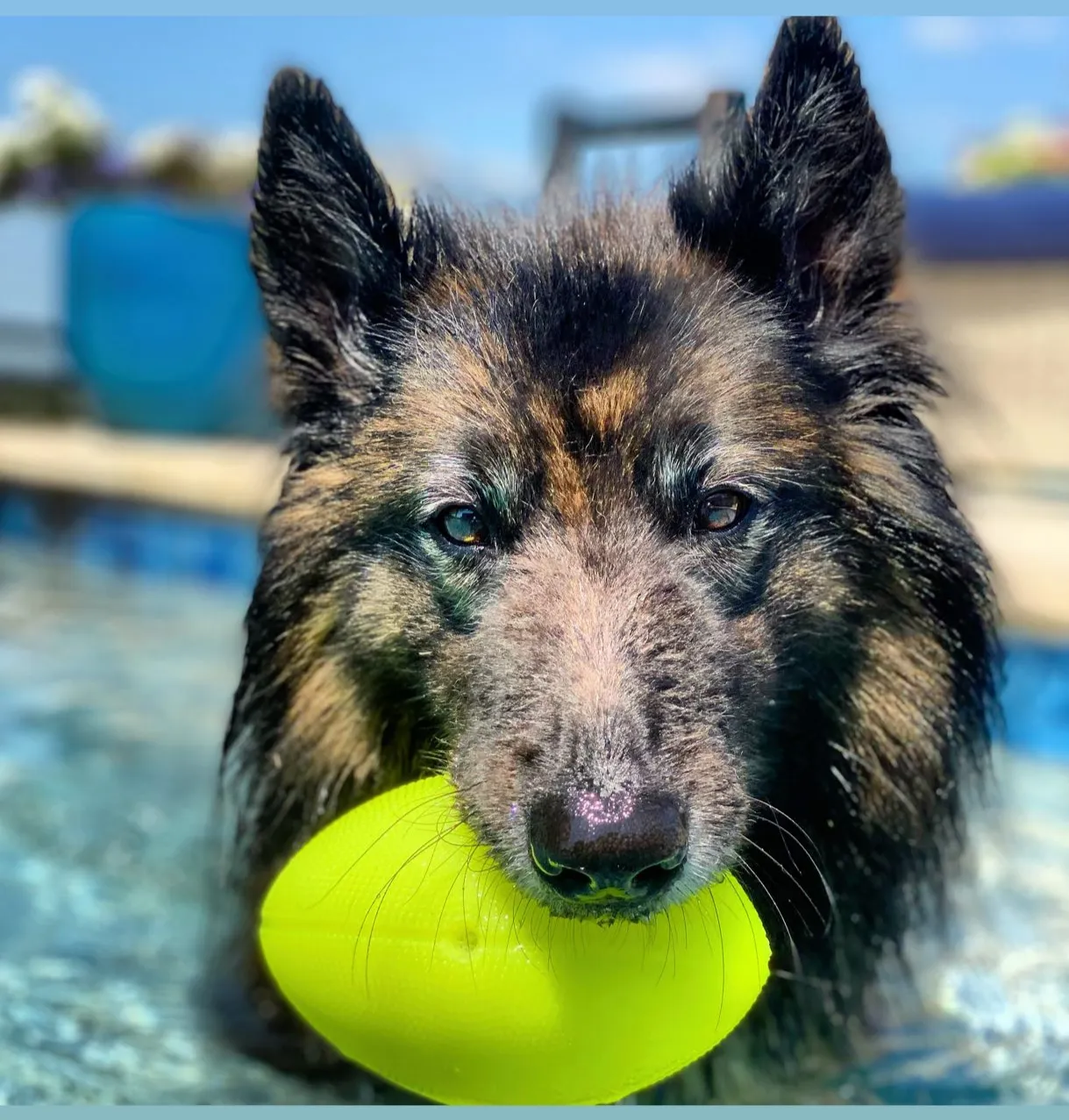 Squeak & Glow Football