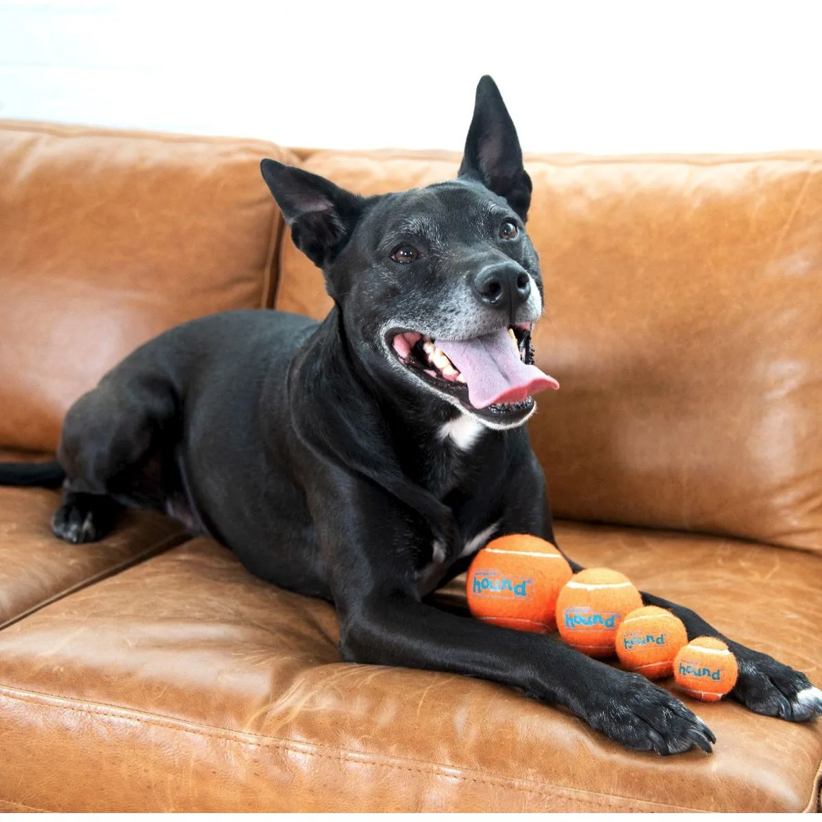Squeaker Ballz Large