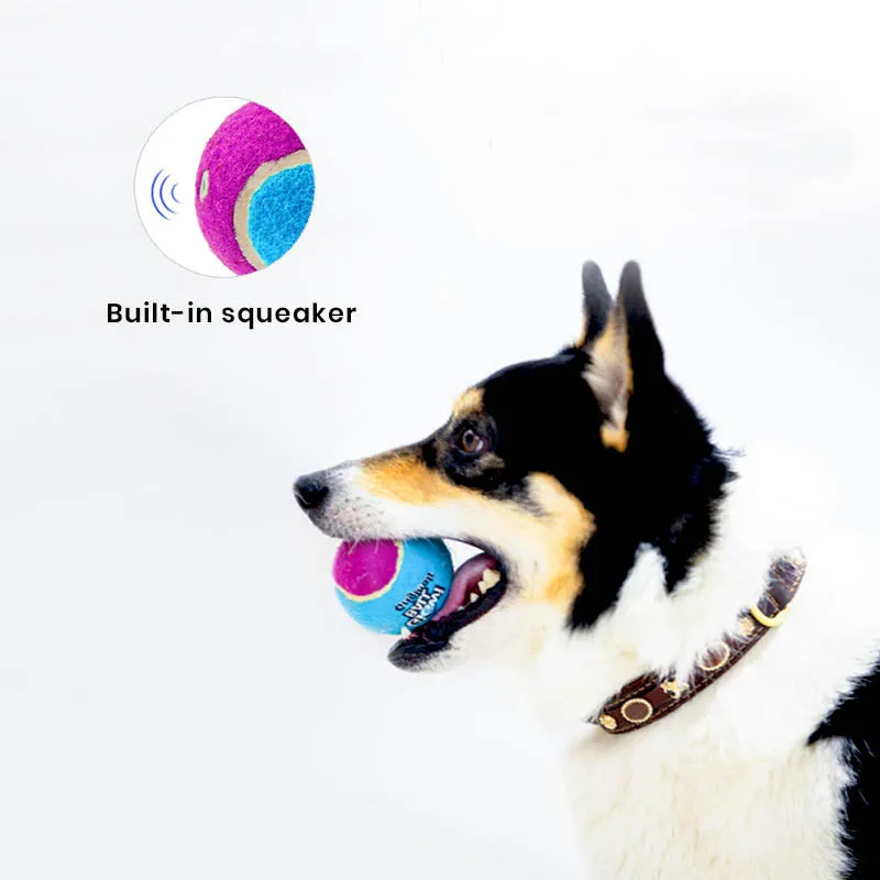 Squeaker Tennis Balls Dog Toy 3 Pack