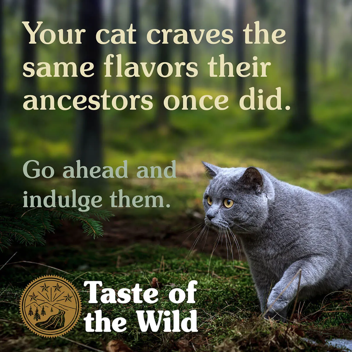 Taste of the Wild Lowland Creek Roasted Quail & Roasted Duck Feline Dry Cat Food