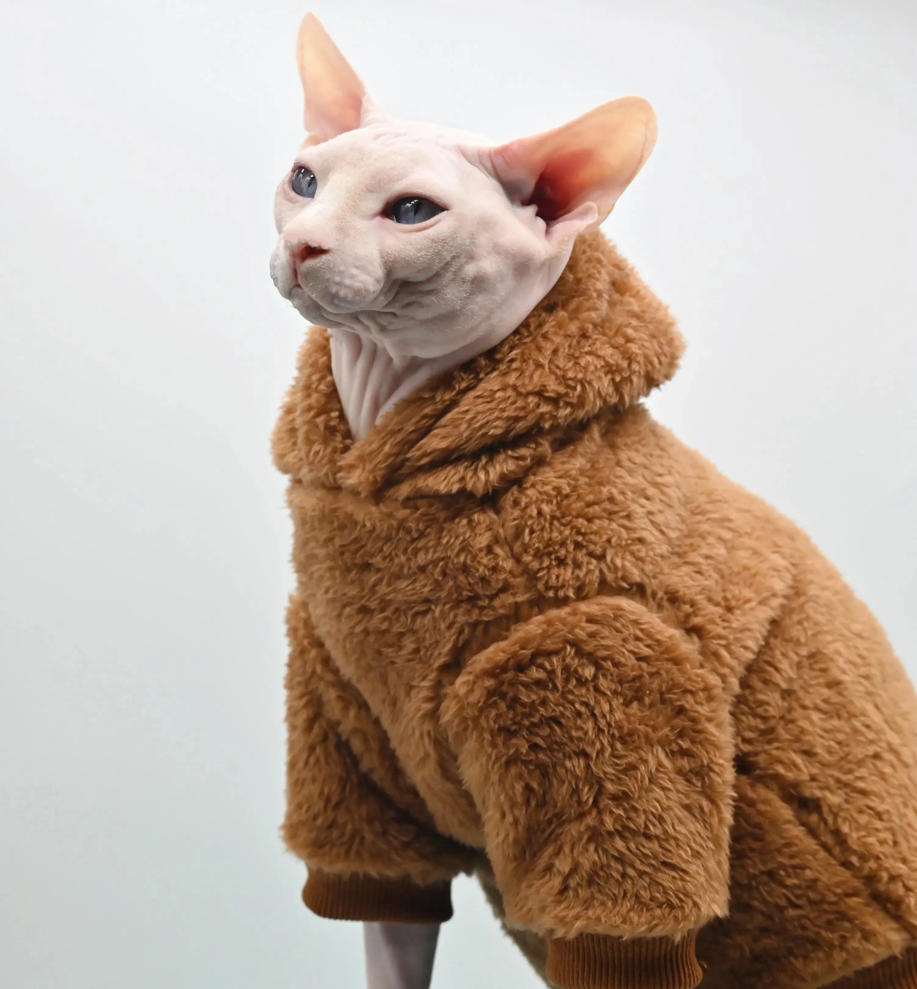Thick & Warm Winter Clothes for Hairless Cats | Cozy Apparel for Sphynx, Devon Cats, Small Kittens, and Dogs