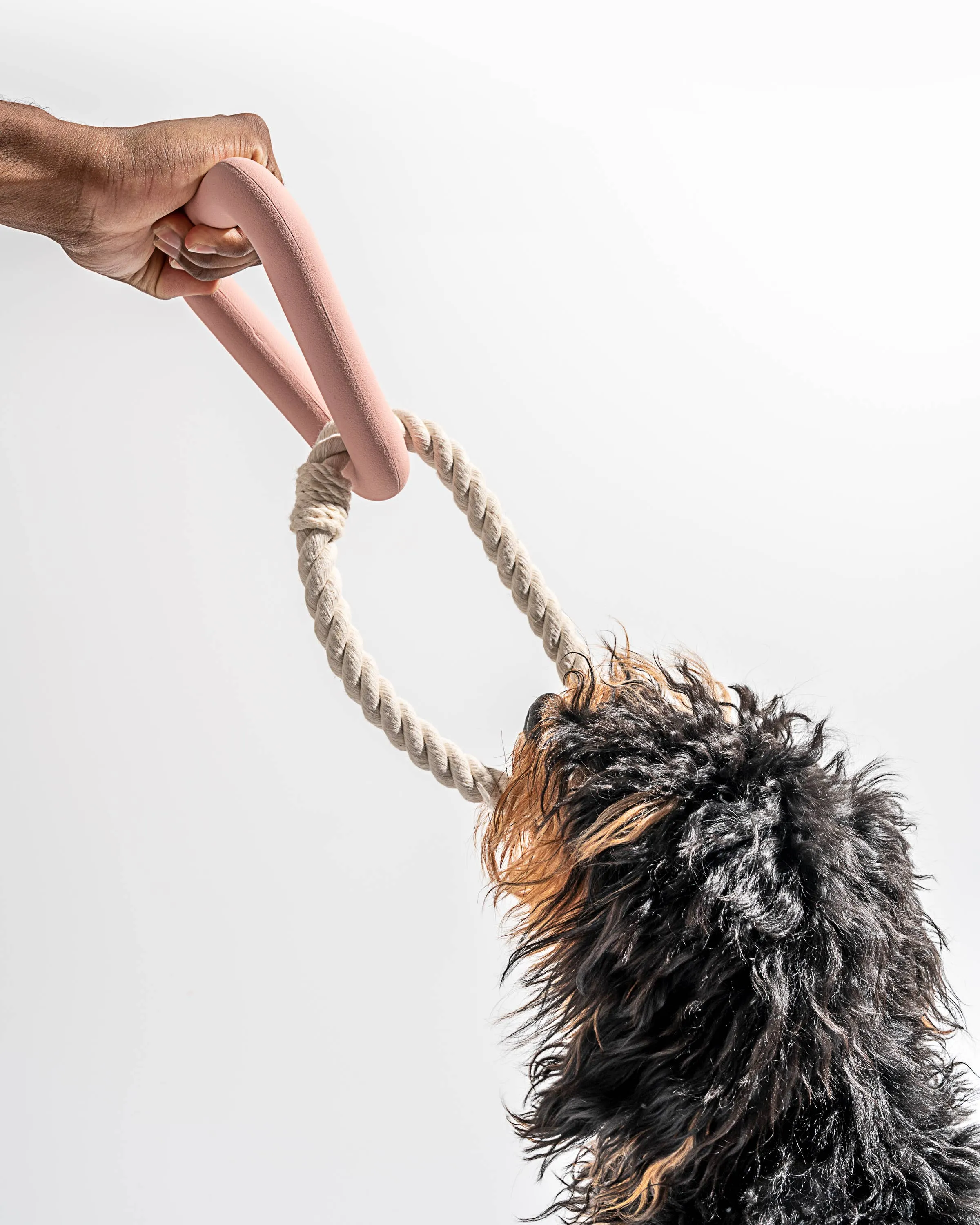 Triangle Tug Dog Chew Toy: STANDARD / Spruce