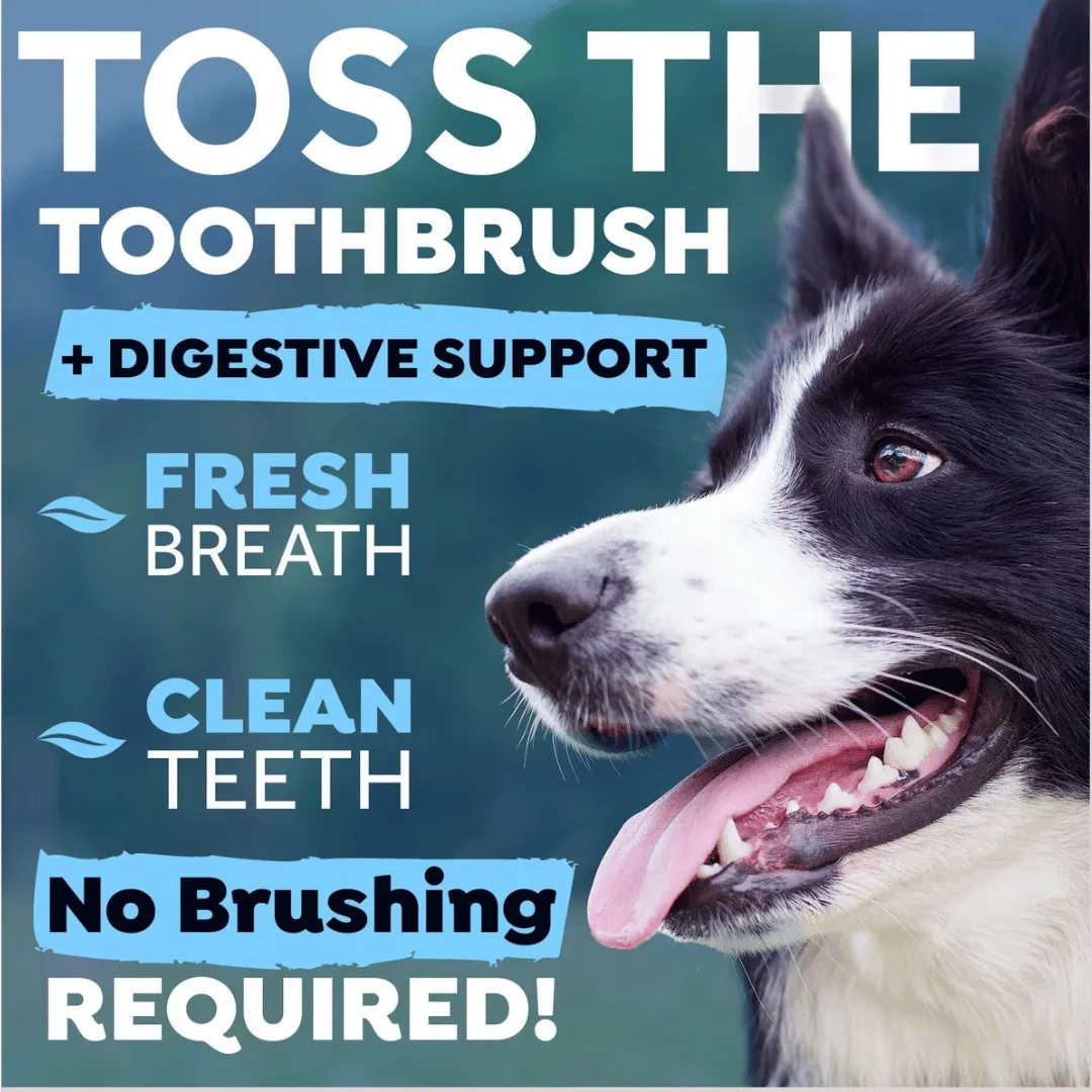 Tropiclean Fresh Breath Digestive Support Dog Water Additive