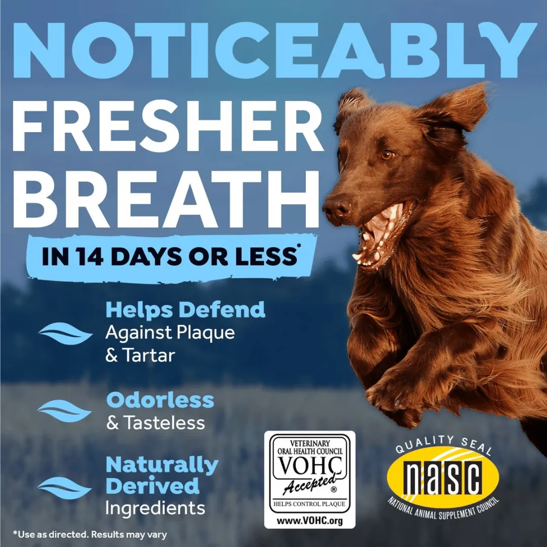 Tropiclean Fresh Breath Digestive Support Dog Water Additive
