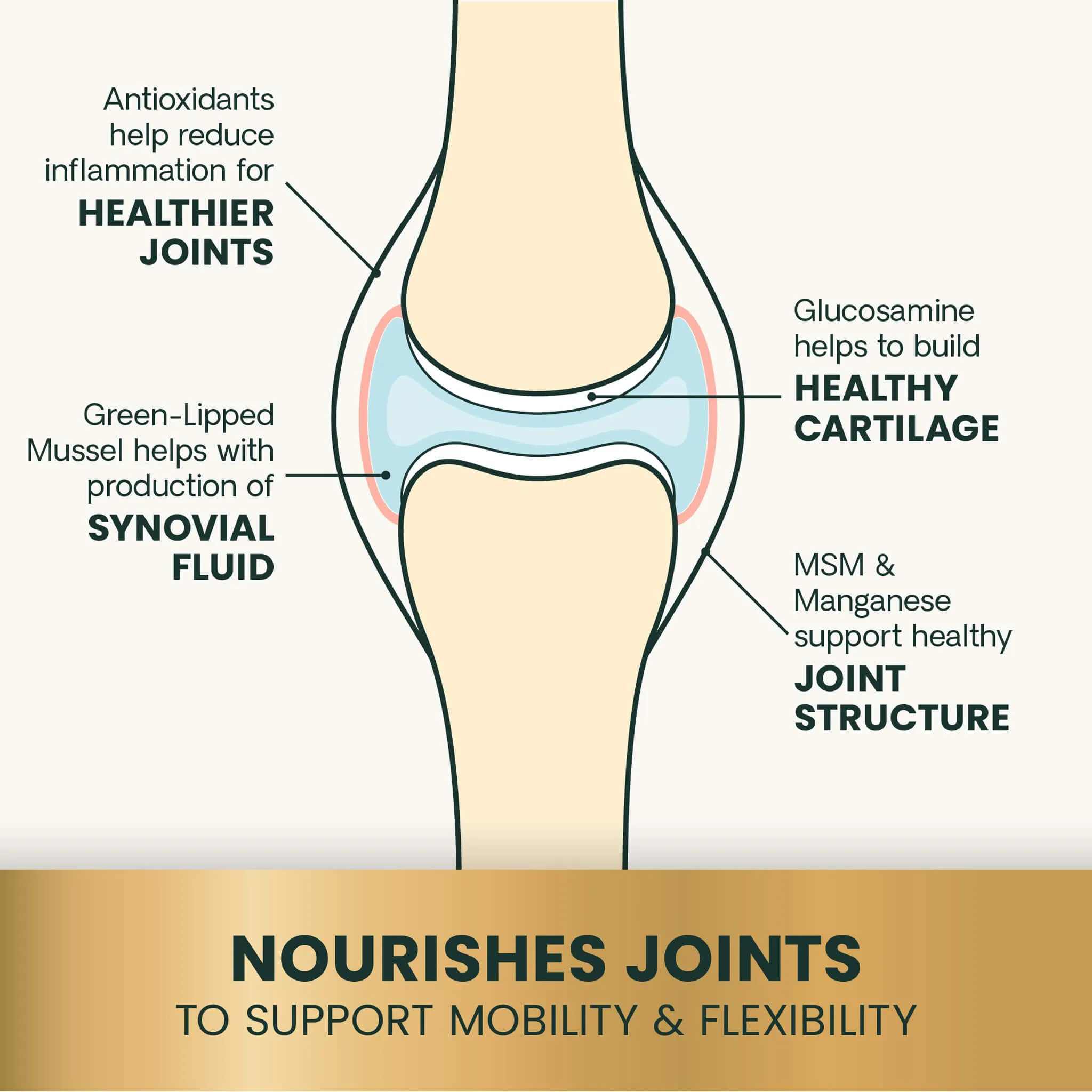 VetriScience Healthy Hip & Joint Supplements
