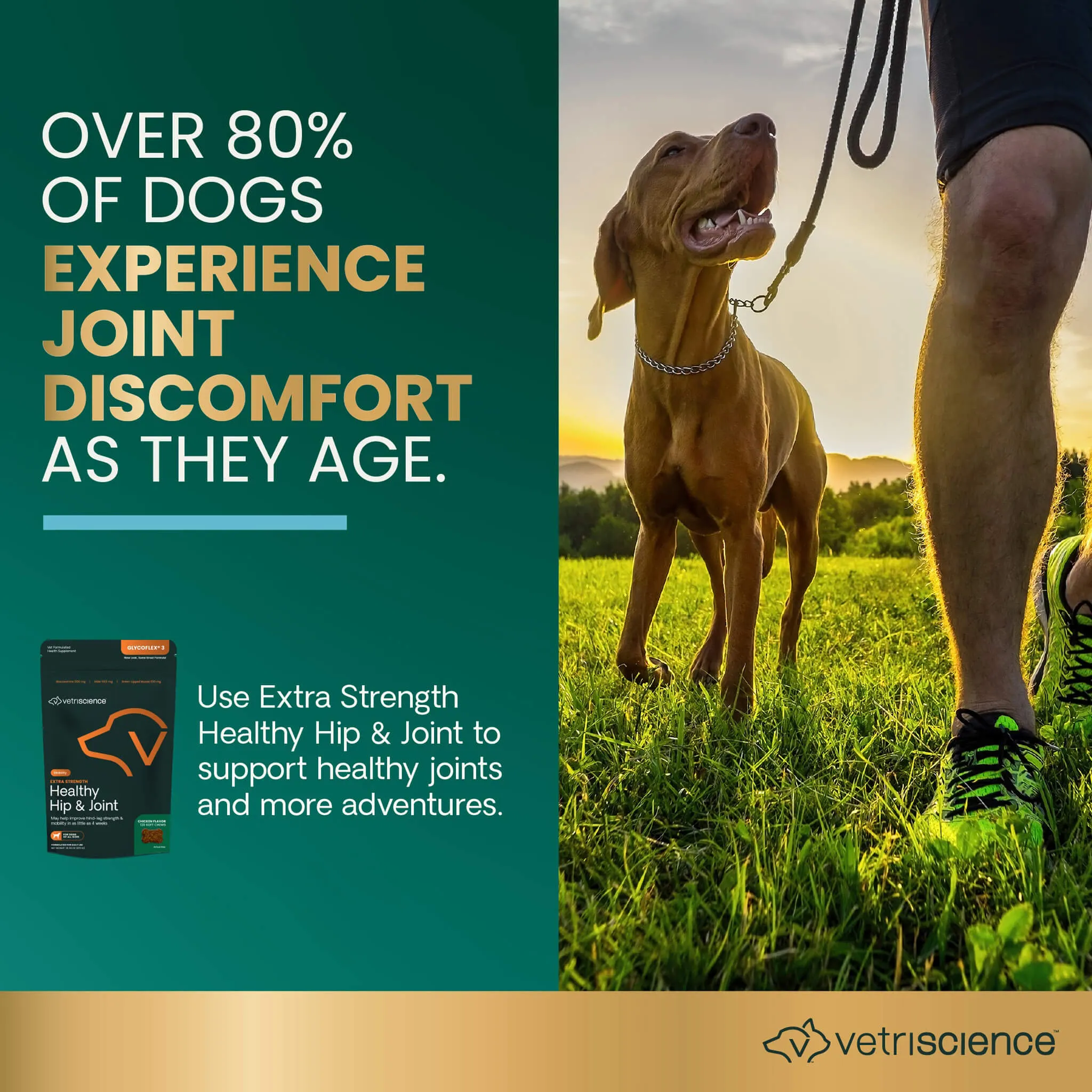 VetriScience Healthy Hip & Joint Supplements
