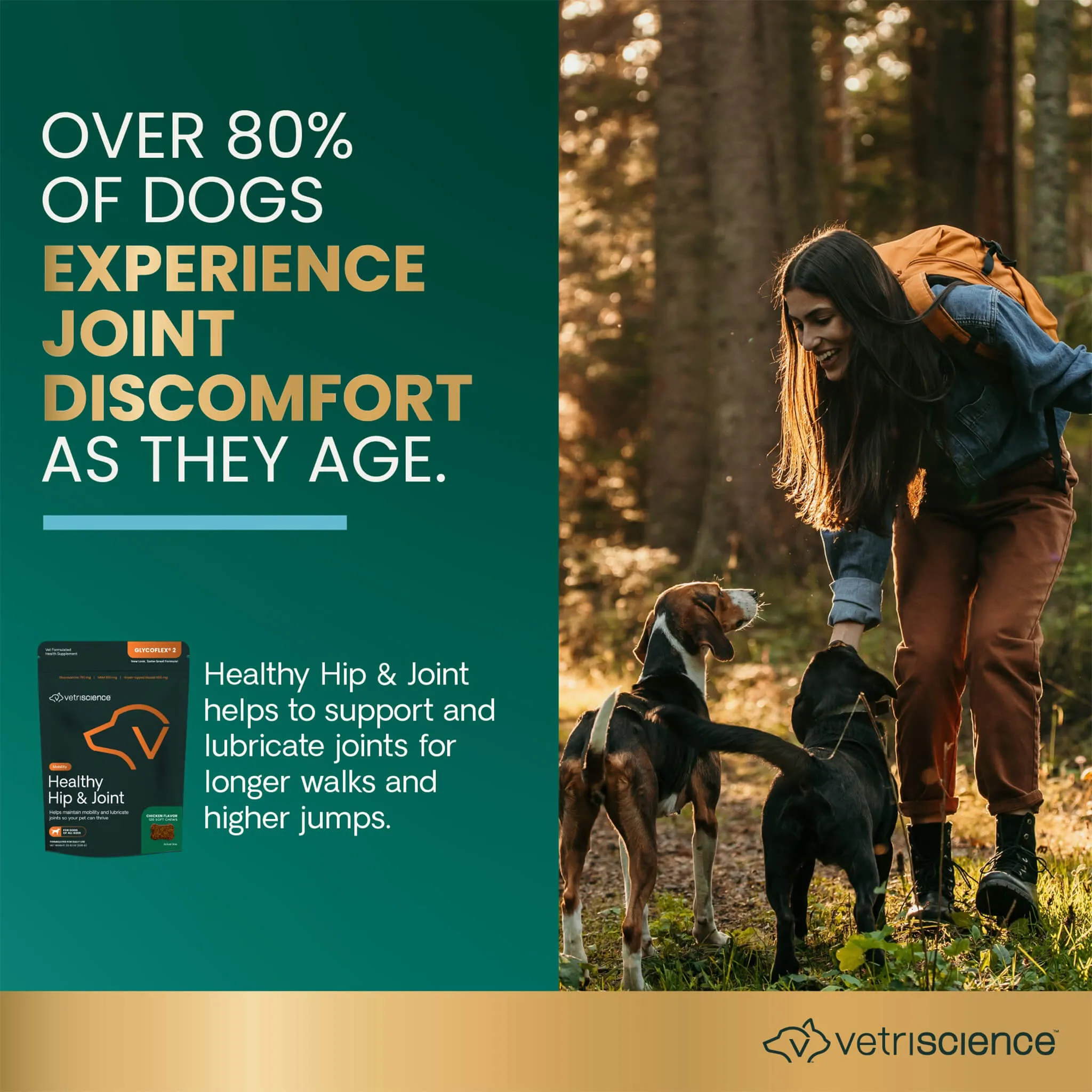 VetriScience Healthy Hip & Joint Supplements